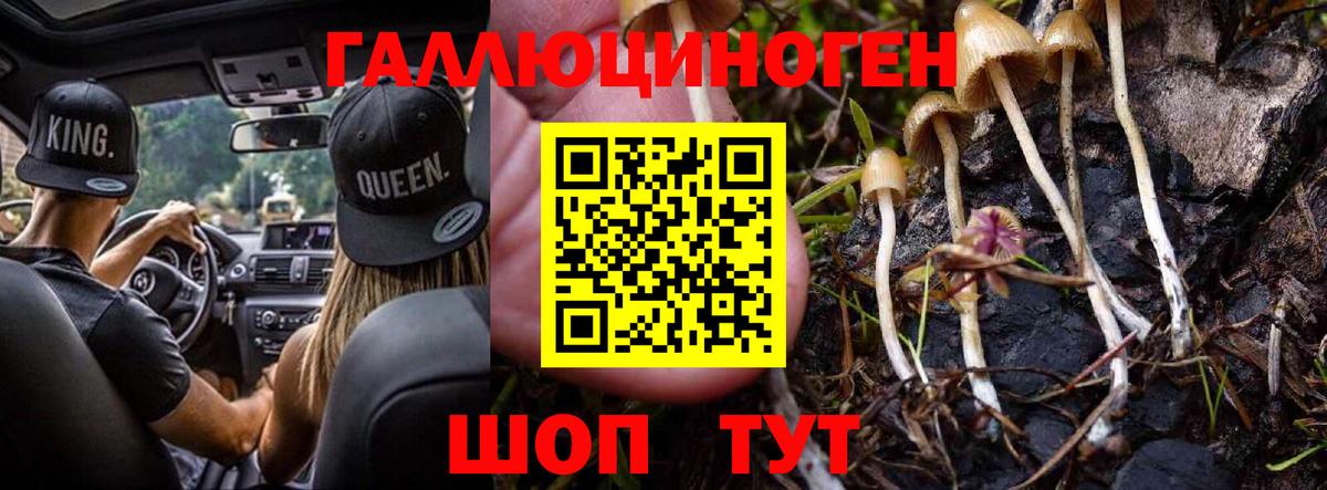 Псилоцибиновые грибы Psilocybine cubensis Карталы