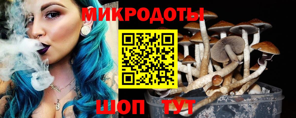 Псилоцибиновые грибы Magic Shrooms  магазин  наркотиков  Карталы  Вход с VPN 